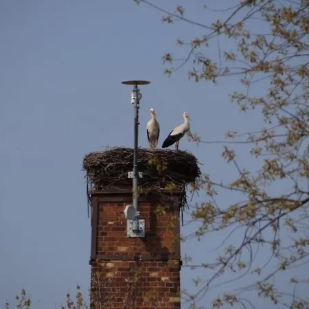 Daire Zum Storchennest Kölsa