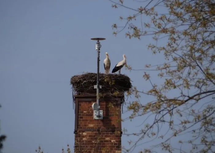 Apartamento Zum Storchennest Koelsa