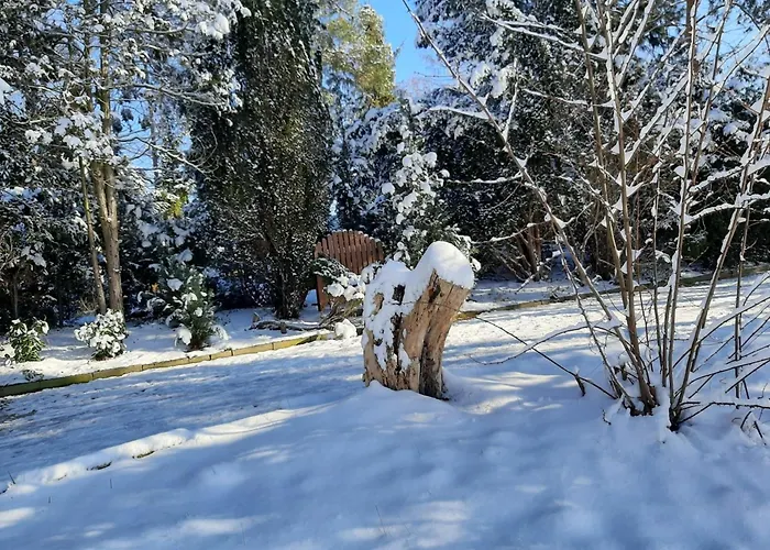 Apartamento Zum Storchennest Koelsa
